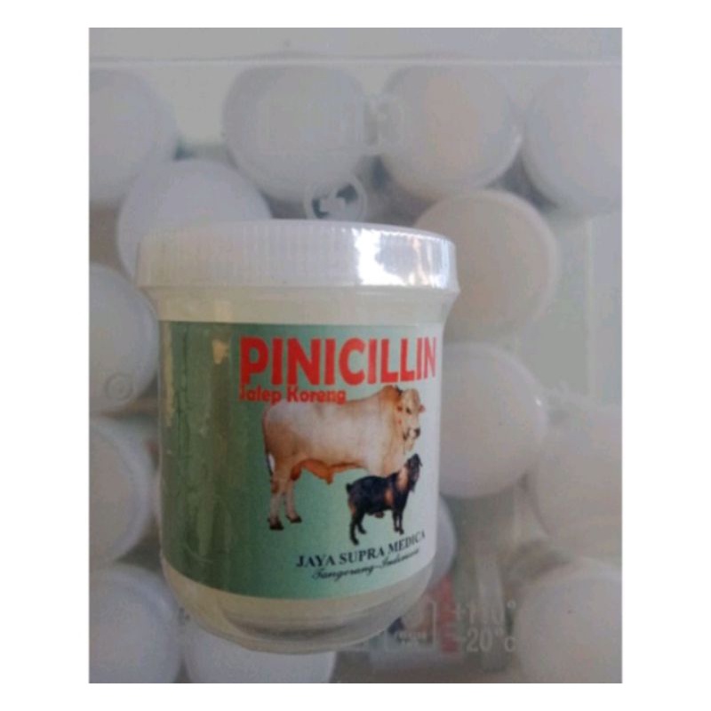 pinisilin salep