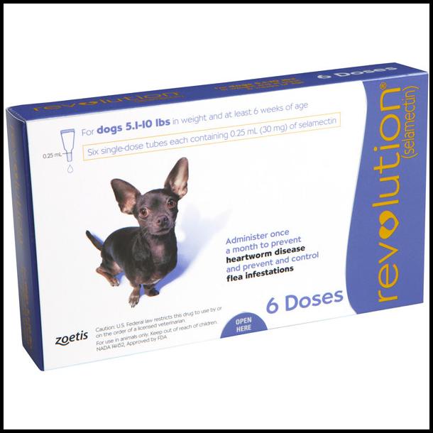 Revolution Cat / Revolution Dog / Revolution Teal / Revolution Blue