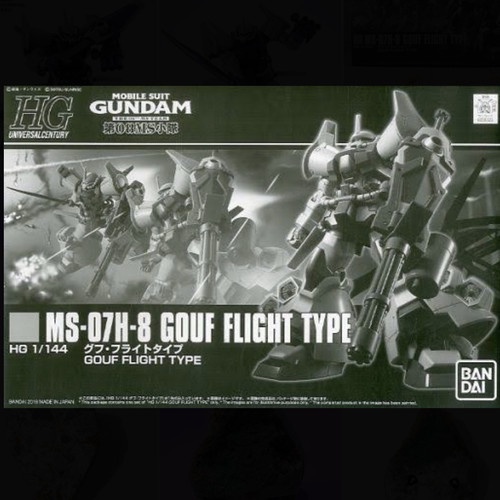 HG MS-07H-8 Gouf Flight Type P-Bandai H-r1457