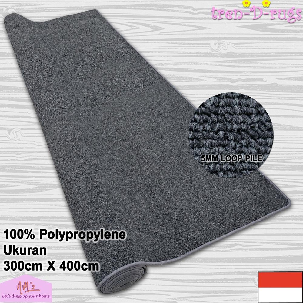 Karpet Polos Jumbo Lantai Bulu Ruang Tamu Tidur Permadani Tebal 300 cm x 400 cm - NMs
