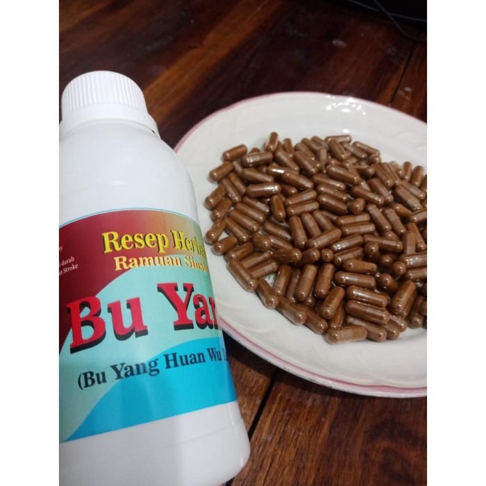 Promo Obat Pasca Stroke Ampuh Asli Dari China, Bu Yang Huan Wu Tang Ramuan Terlaris