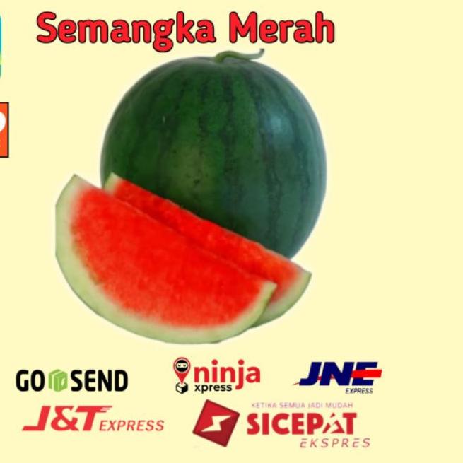 

Terbaru✔️BUAH SEMANGKA MERAH TANPA BIJI PCS SIZE 4-5KG