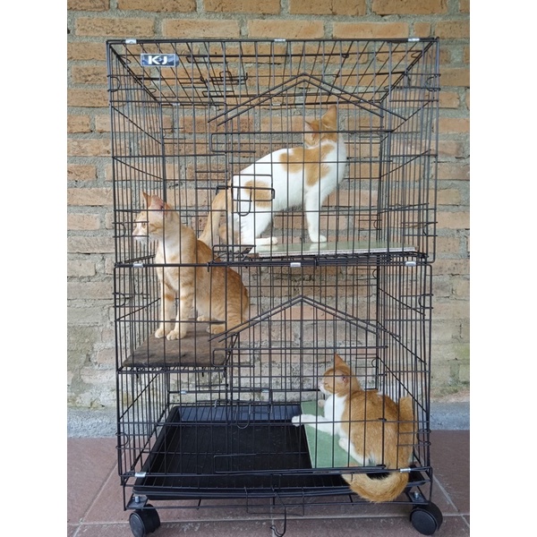 KANDANG KUCING TINGKAT 3
