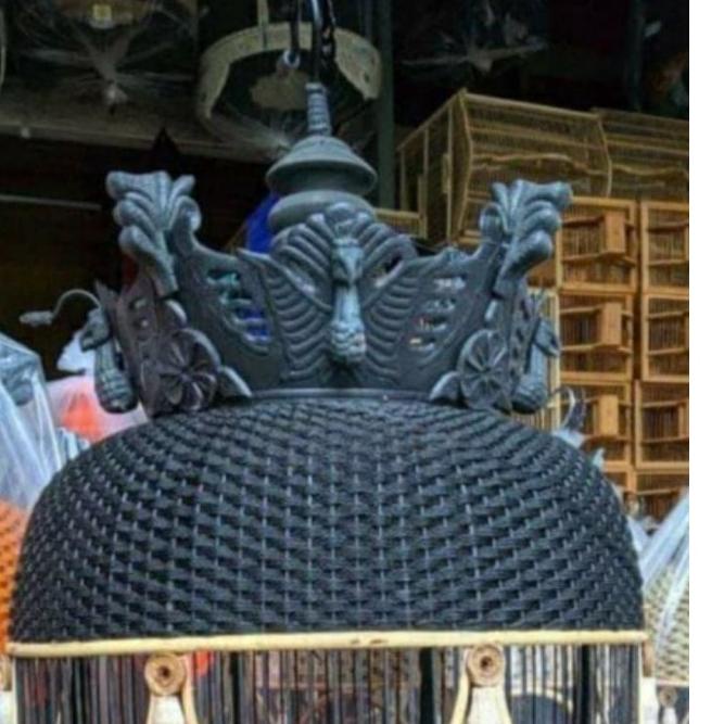 Potongan Harga MAHKOTA SANGAR BURUNG PERKUTUT KAKI GARUDA / 2 SET
