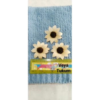 bunga klobot jagung matahari