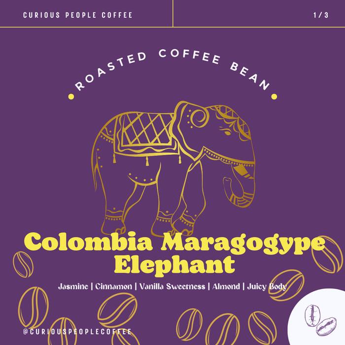 

Biji Kopi Arabika Manual Brew - Maragogype Elephant Nano Lot - 500 gr
