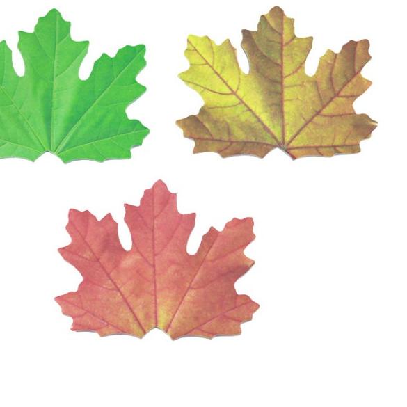 

6.6 Sale | HJ6 | J2 - Sticky notes Maple lead Memo tempel daun classic