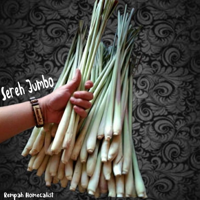 

Terlaku.../ Sereh Segar 1kg Serai Jumbo