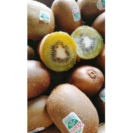 

HC82 KIWI /KIWI GREEN FRESH IMPORT 450GR-1KG ➞Model Terkini
