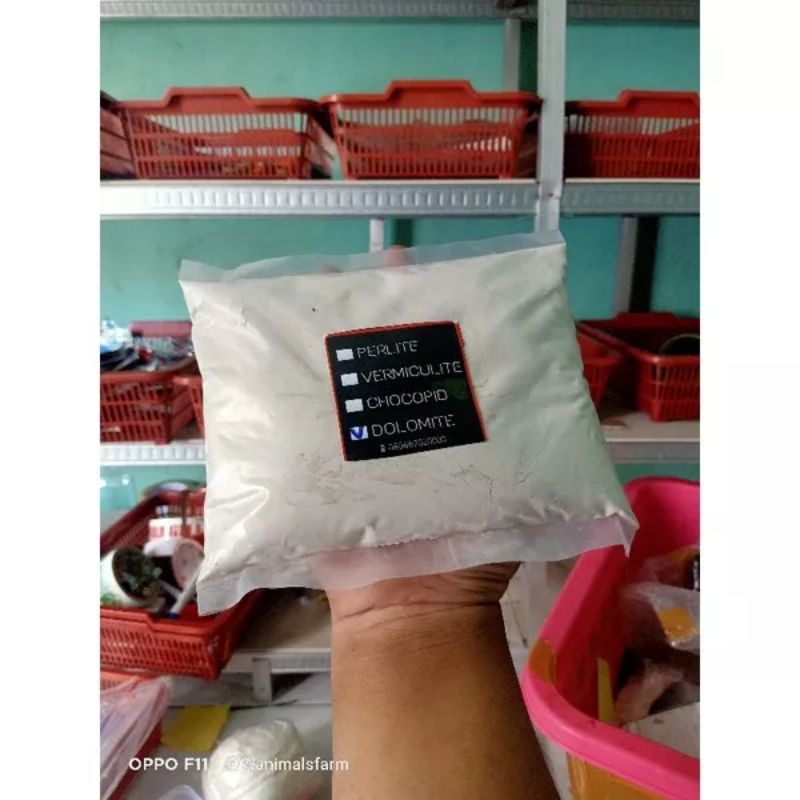 DOLOMITE KHUSUS ALAS KANDANG LEOPARD GECKO DOLOMITE PASIR HABITAT LEOPARD GECKO