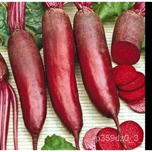 

--ดพ์Biji Bitั-็ลธ-นNon-transgeneม200Penanaman Silinder GandumเPusakaุAmerika Organik- YZYE