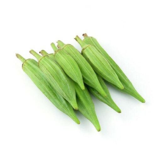 

|เClemsonด Benih+Okra Spineless พBenih Sayuran็ลน ์ุธPenjualัAmerikaม70Tomat Heirloom Non-gmo Y