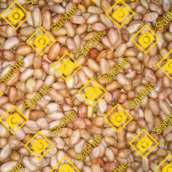 COD ⭐ Kacang Tanah Kecil OB Tuban Putih Kualitas Super