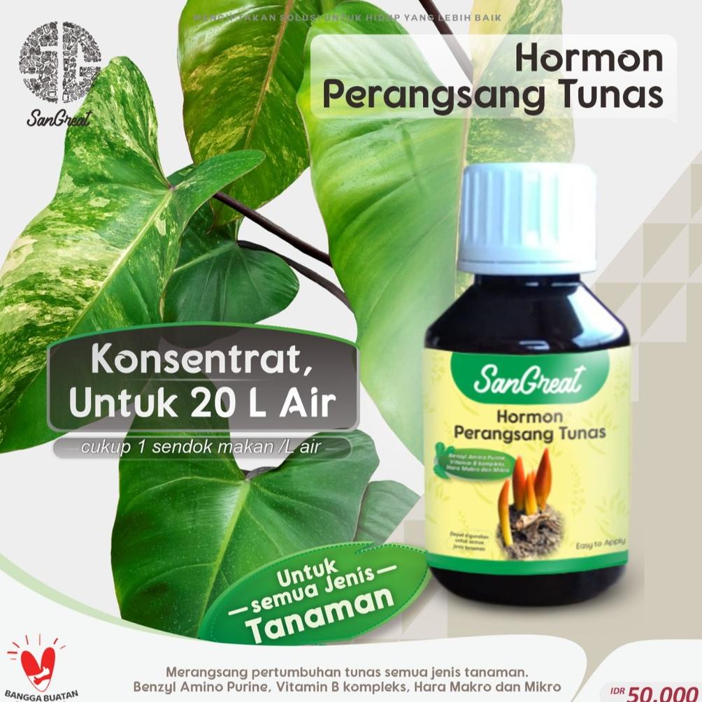 SanGreat Hormon Penumbuh Tunas plus Vitamin B1 Konsentrat 100 ml Hormon sitokinin untuk aglonema kel