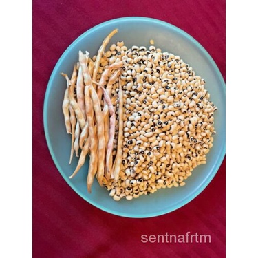 

พ ลProlific ัธBenih+ดKacang PolongDelicious เม์็ุ50。น Mata Hitam Q9PF