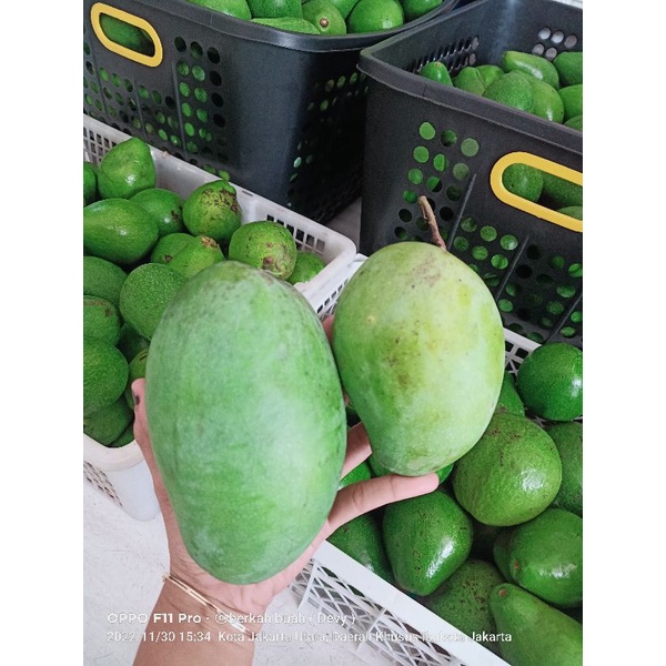 

mangga HM super