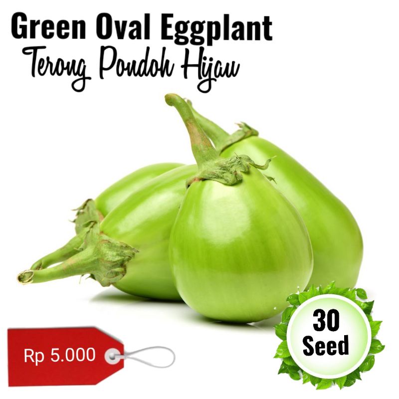 terong pondoh hijau 30 seed ( benih biji terong)