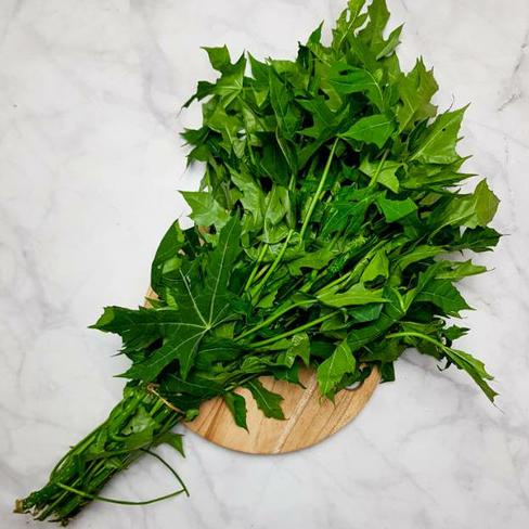 

Daun Pepaya 1 Ikat