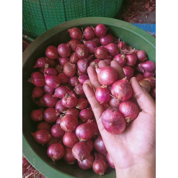 

Bawang Goreng Probolinggo Grade A