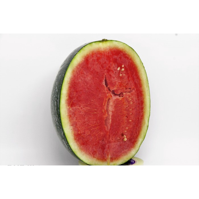 

Semangka Merah Non Biji Super Sweet - Total Buah