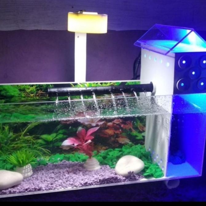 Aquarium Mini Unik Akrilik Ikan Cupang Ikan Hias Kecil Eksklusif