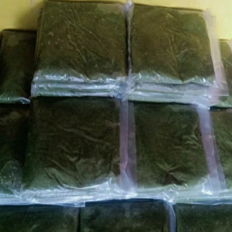 (H♥DG㊚) Umpan Galatama lele Buto Ijo polos paling.laris