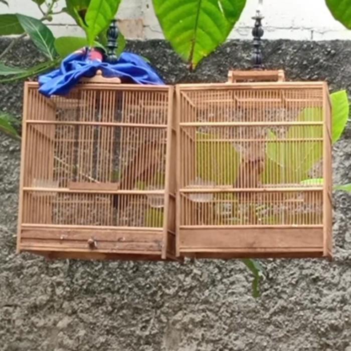 Best Seller Burung Wambi Bahan