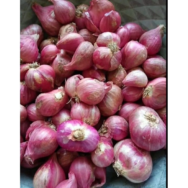 

bawang merah lokal super 1kg