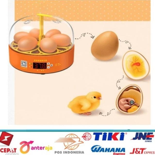 Eggs Incubator/Mesin Penetas Telur Otomatis