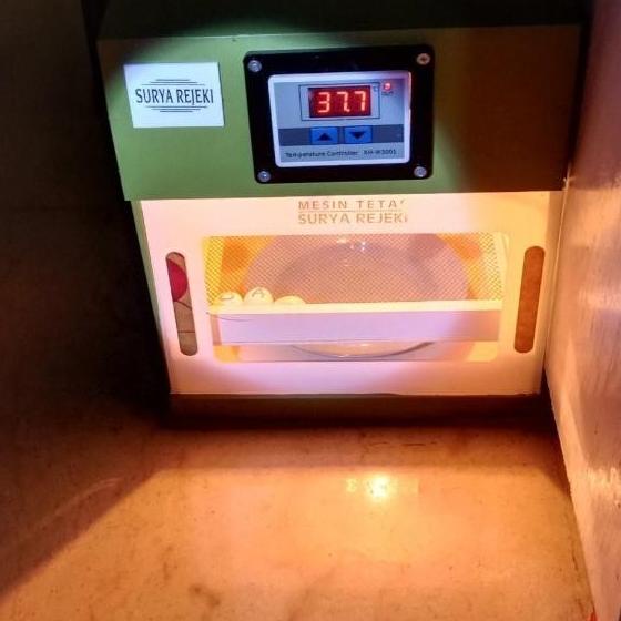 Mesin Penetas/Alat Tetas Telur Bebek/Ayam/Puyuh Otomatis Kap 9 Butir