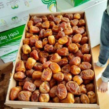 

KURMA SUKARI AL QASIM 3KG DGN KOTAK(STOK BARU SELALU)!! Best Seller