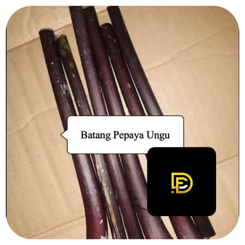 

Isi 8 batang pepaya ungu atau batang pepaya wulung-az
