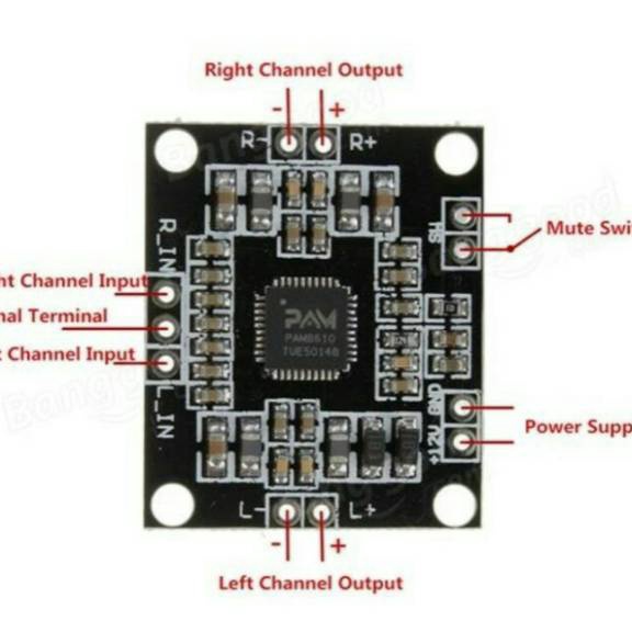 Best Terlaris PAM8610 PAM 8610 Module amplifier Paling Popular