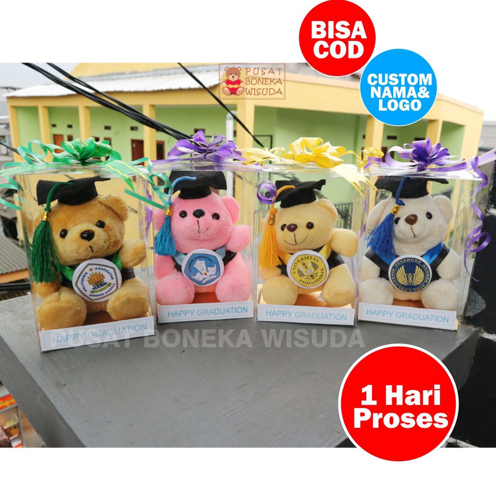 [J☛9I㊛) Boneka Wisuda Teddy Bear mini Mika Hadiah Kado Tedy Bear Beruang Graduation TK PAUD SD Grosi