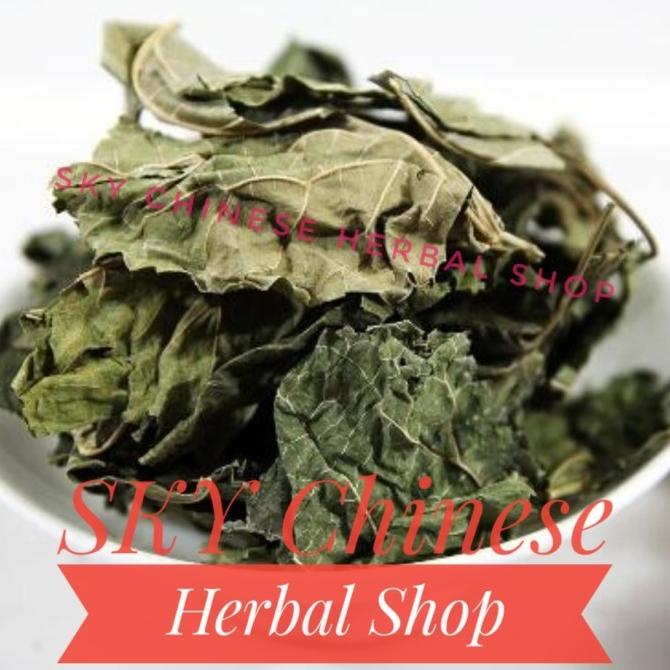 

#####] Sang Ye / Mulberry Leaf / Folium Mori / Shuang Yek Leaves Daun Teh