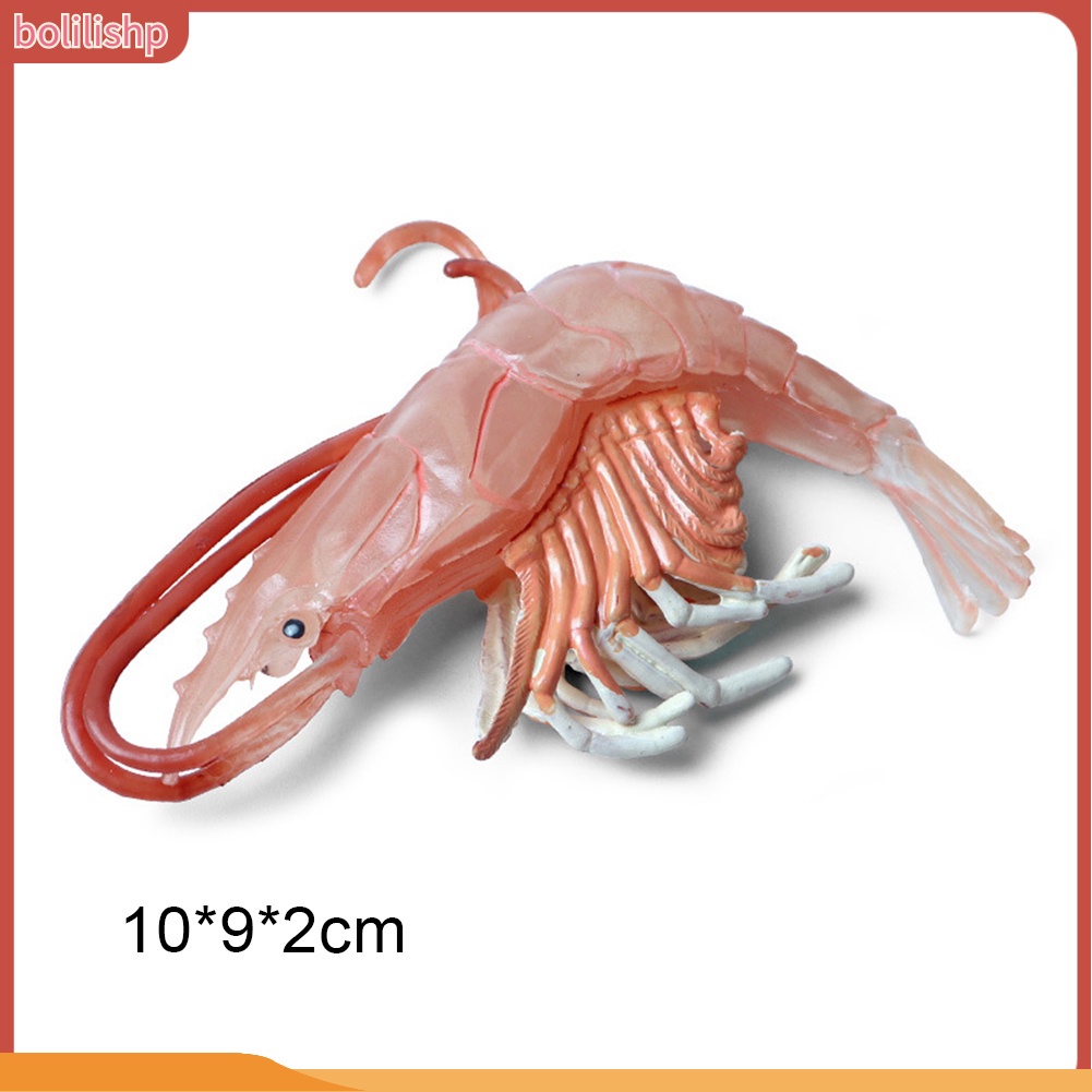 &lt;Bolilishp&gt; High Simulation Shrimp Squid Ocean Animal Model Figurine Table Decor Kids Toy