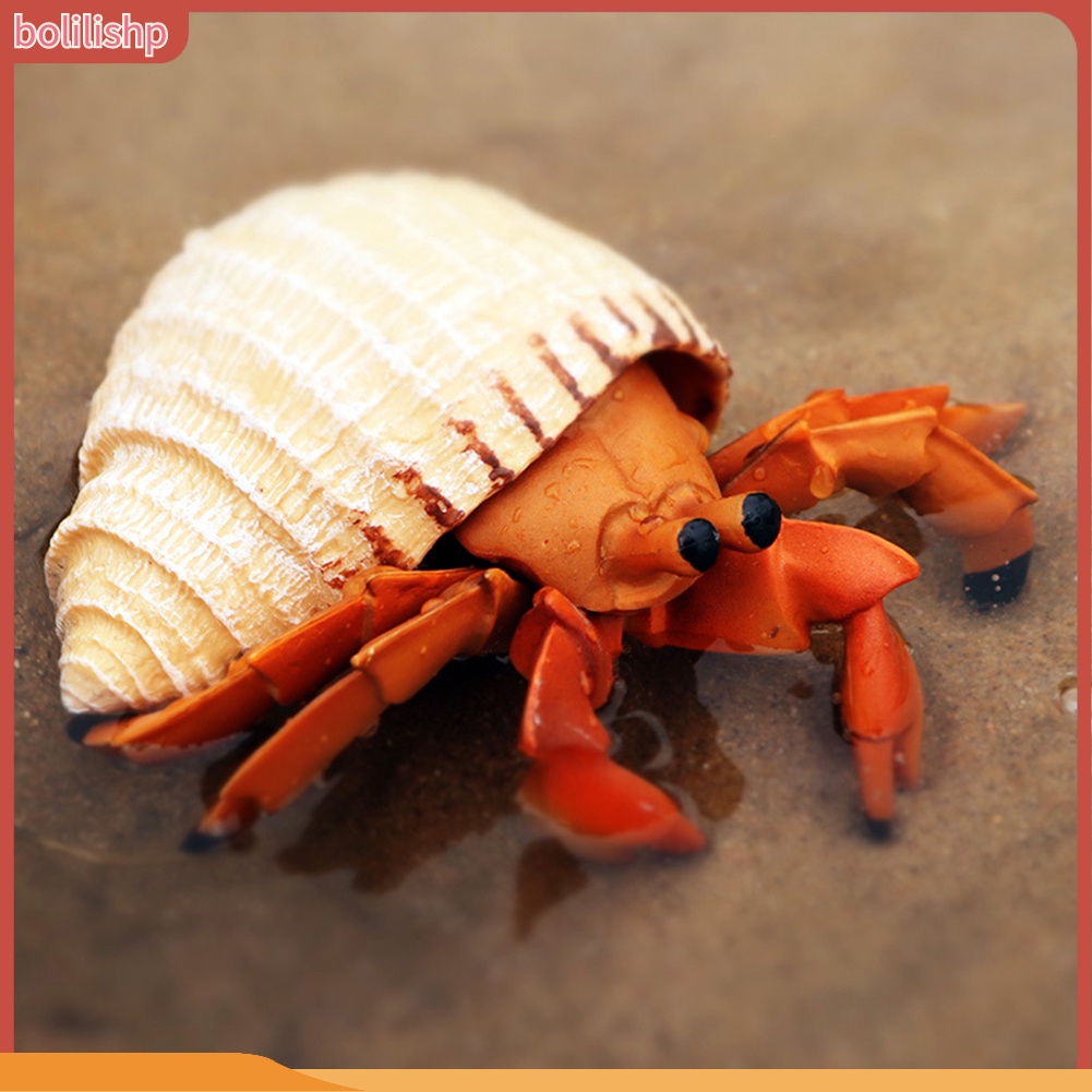 &lt;Bolilishp&gt; Simulation Hermit Crab Marine Animal PVC Model Desktop Decor Education Kids Toy