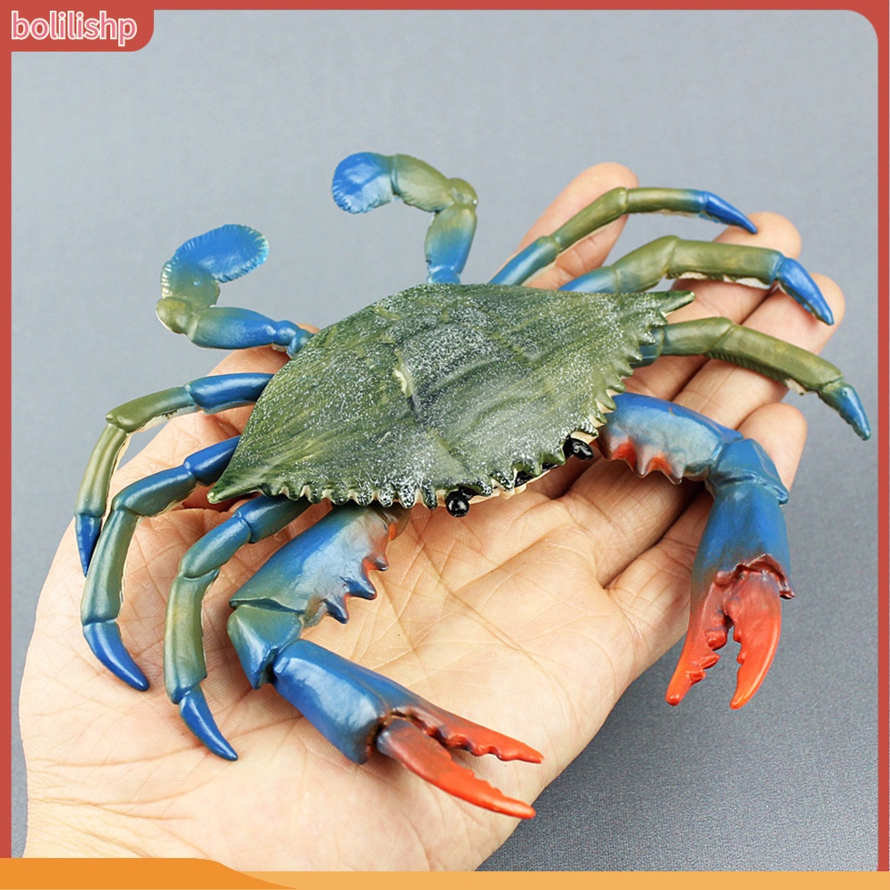 &lt;Bolilishp&gt; Simulation Hermit Crab Marine Animal PVC Model Desktop Decor Education Kids Toy