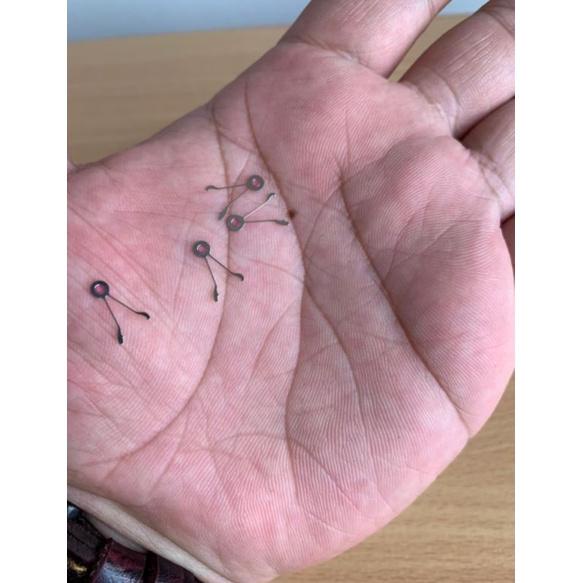 Limited Capit Udang Seiko 7S26 Pawl Lever 7S26 Seiko