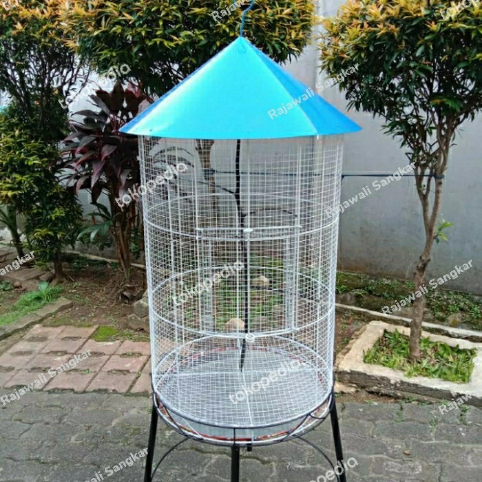 kandang ternak koloni Burung