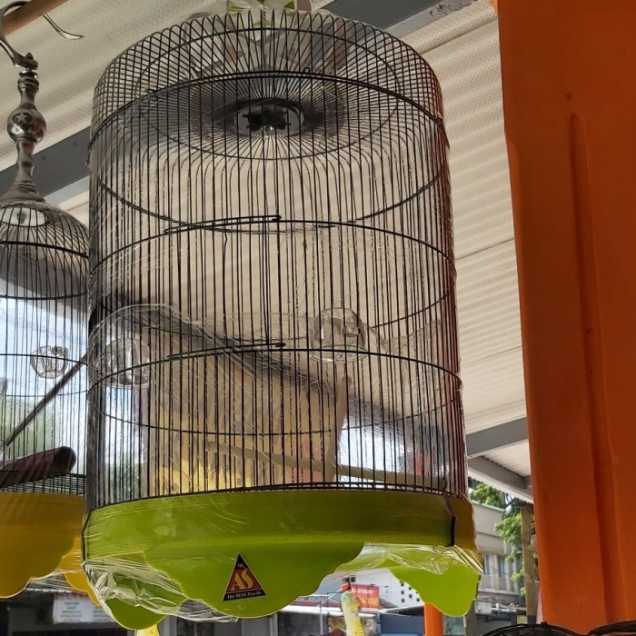 Sangkar besi jumbo D42, kacer, poksay, cak ijo