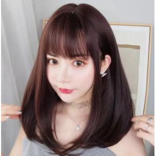 Rambut Wig Panjang Lurus Poni Korea - Wig Wanita Import