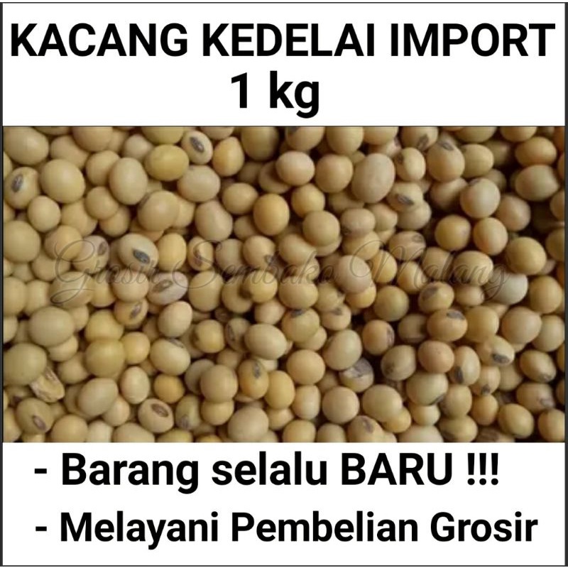 

KACANG KEDELAI 1KG T AMERIKA ASLI [ BARANG SELALU BARU ] / GROSIR KEDELAI MALANG / KEDELAI AMERIKA /