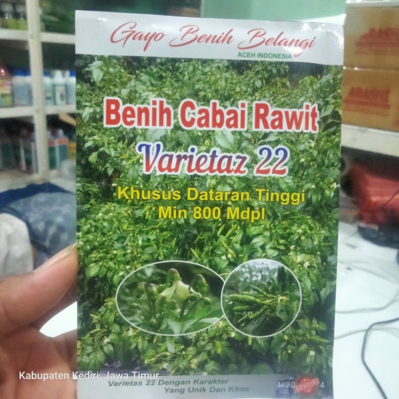 Varietas 22 benih cabai rawit karakter unik dan khas 10 grm
