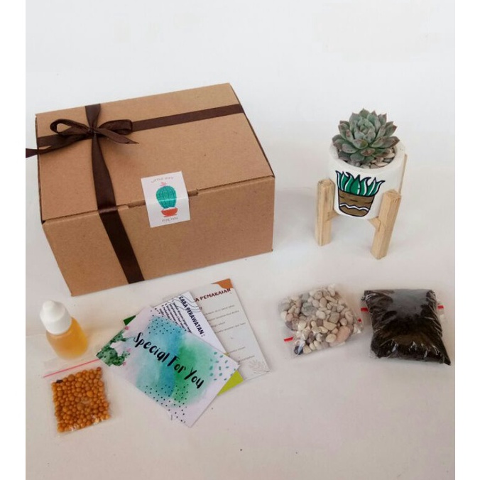

Paling Dicari.. GIFT BOX ( No brand )| HAMPERS MEWAH KAKTUS MURAH MERIAH | KIT KAKTUS ( Paket 1 ) 63