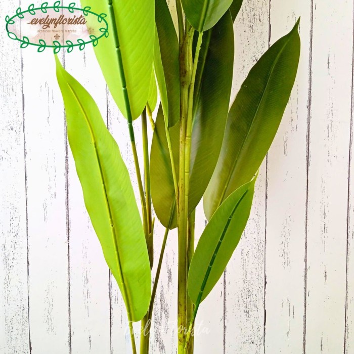 HOT SALE POHON HIAS DAUN PISANGAN HELICONIA BUNGA BIRD OF PARADISE T145 LATEX TERMURAH