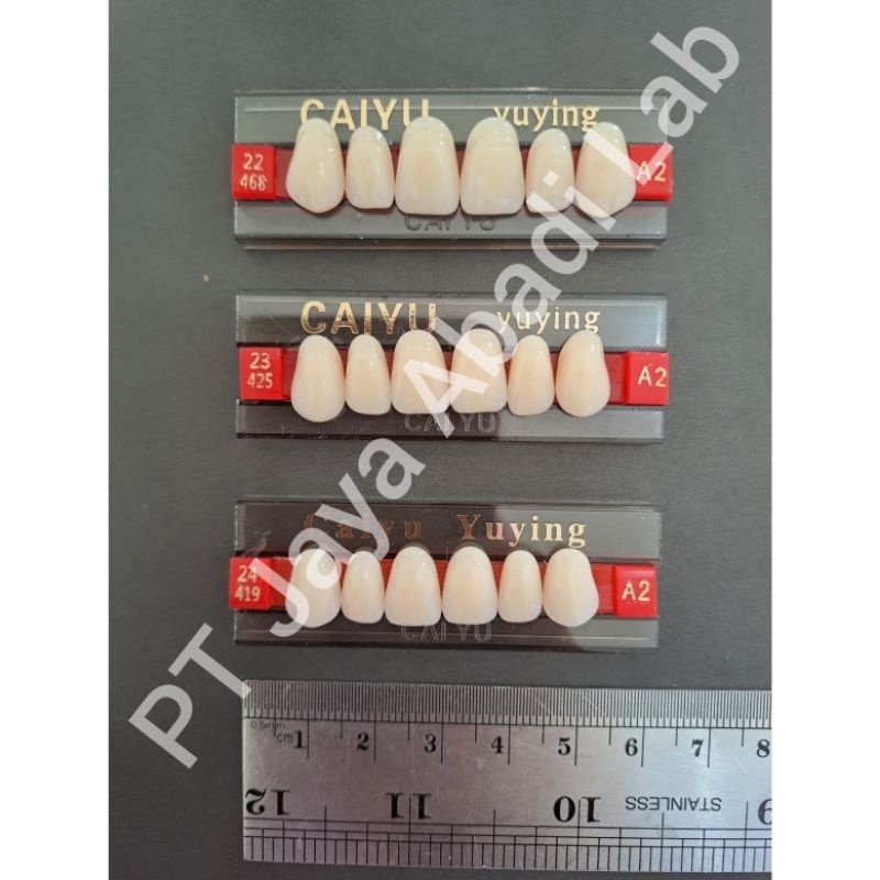 anasir gigi palsu tiruan anterior depan rahang atas upper warna A2 caiyu no 22 23 24