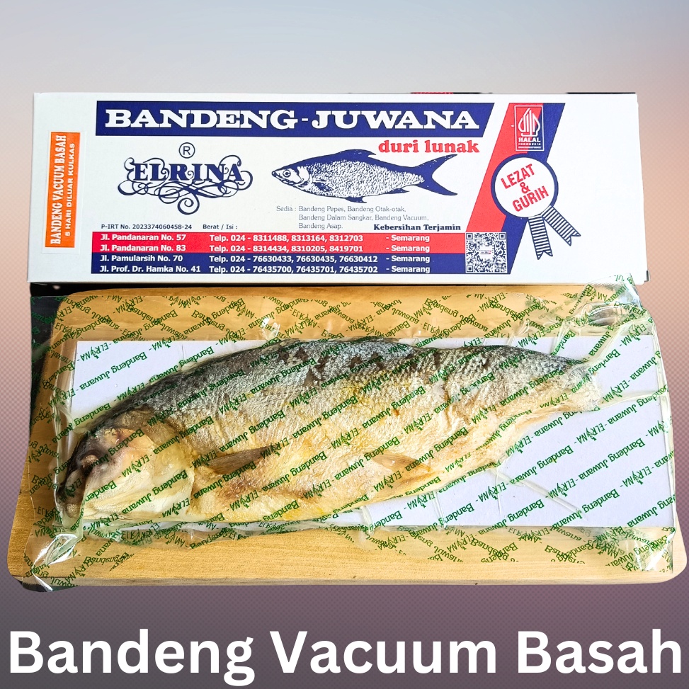 

5.5 COD Bandeng Presto Juwana Elrina Vacum Basah Ikan Bandeng Juwana