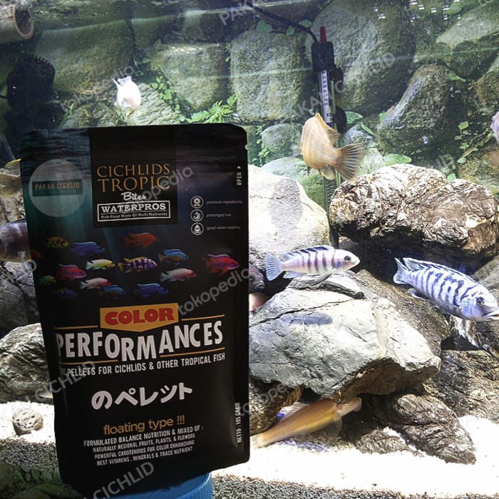 Terlaris [Pakan Cichlid] Pelet Ikan Waterpros Pump Performance 185 Gram