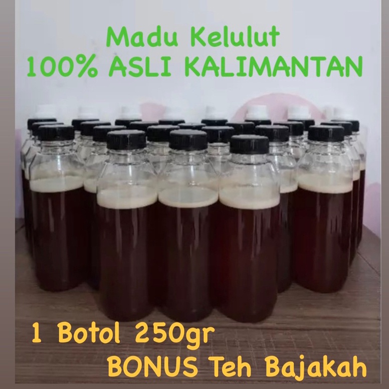 

SIAP KIRIM L77 Madu Kelulut Asli Kalimantan 250gr ヴ